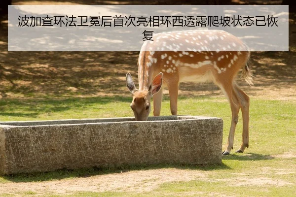 波加查环法卫冕后首次亮相环西透露爬坡状态已恢复