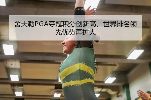 she-fu-lei-duo-guan-ji-fen-chuang-xin-gao-shi-jie-pai-ming-ling-xian-you-shi-zai-kuo-da-3-866.jpg