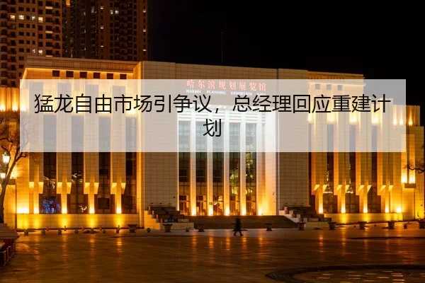 meng-long-zi-you-shi-chang-yin-zheng-yi-zong-jing-li-hui-ying-chong-jian-ji-hua-3-762.jpg