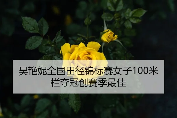 吴艳妮全国田径锦标赛女子100米栏夺冠创赛季最佳
